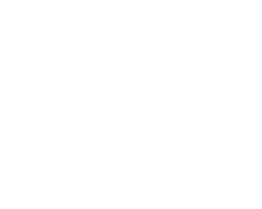 Bridge Capital Ventures
